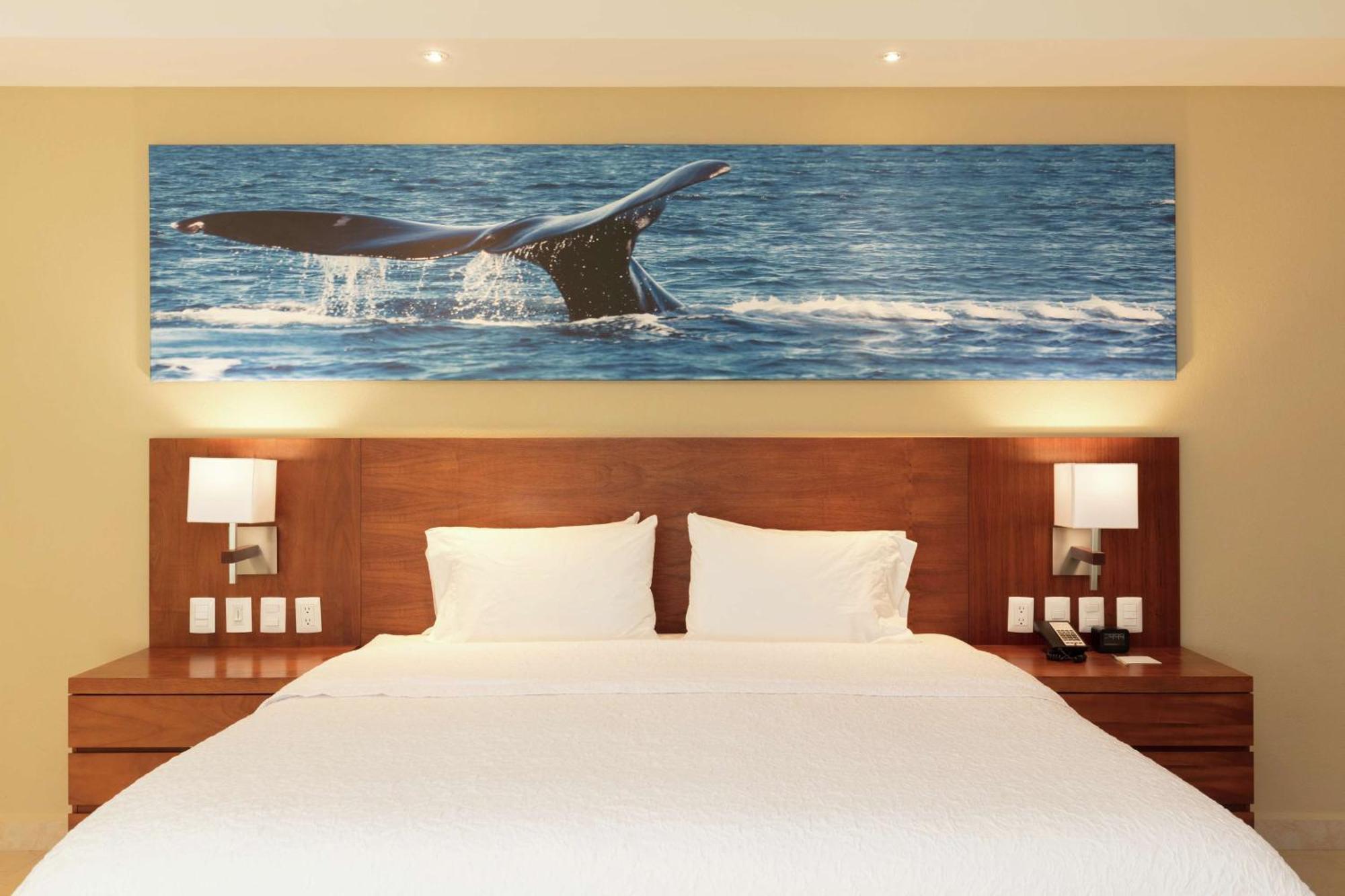 Hampton Inn & Suites By Hilton Los Cabos San José del Cabo Extérieur photo